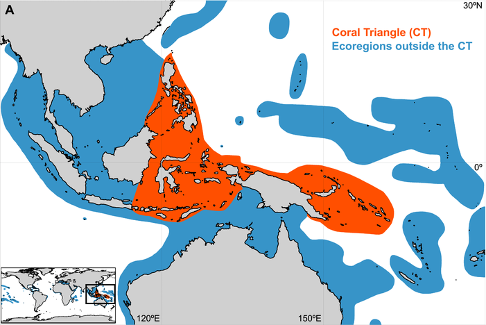 A map of the area north of Australia where the Coral Triangle is located, along with ecologically relevant and similar areas.